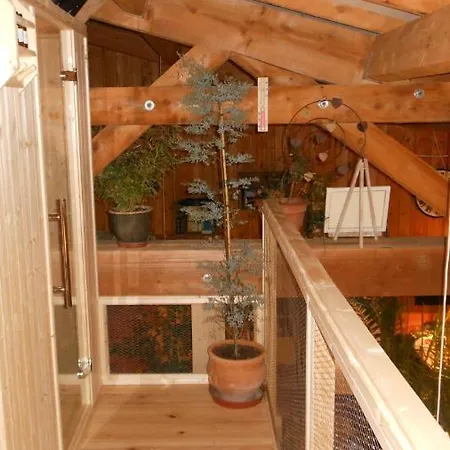 Domaine De Sault 3* Dore-lʼÉglise