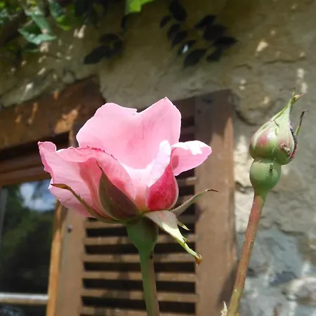 Bed & Breakfast Domaine De Sault Dore-l'Eglise