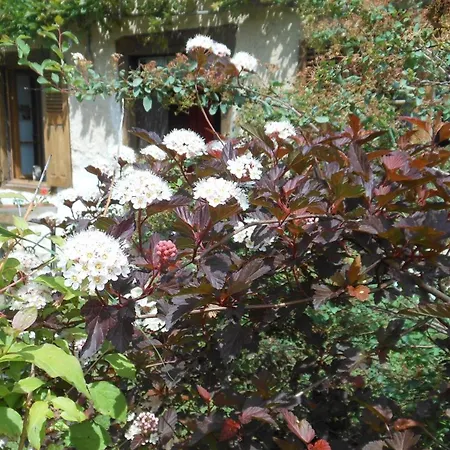 住宿加早餐酒店 Domaine De Sault