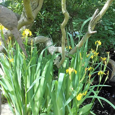 Domaine De Sault 住宿加早餐酒店 3*