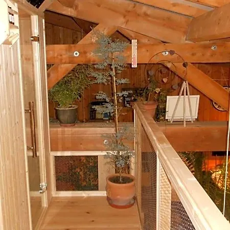 Bed & Breakfast Domaine De Sault Dore-l'Eglise