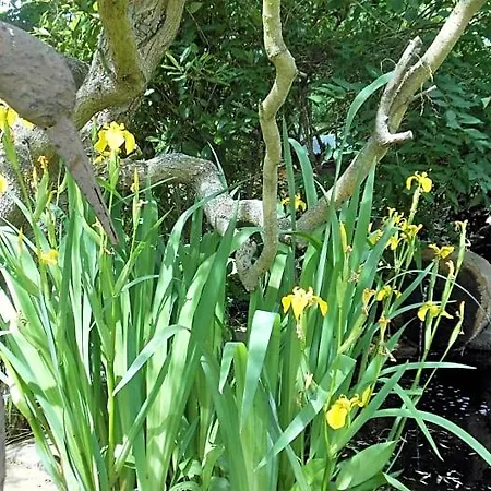 Domaine De Sault Bed & Breakfast