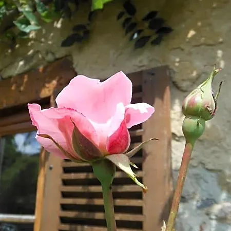 Domaine De Sault Bed & Breakfast