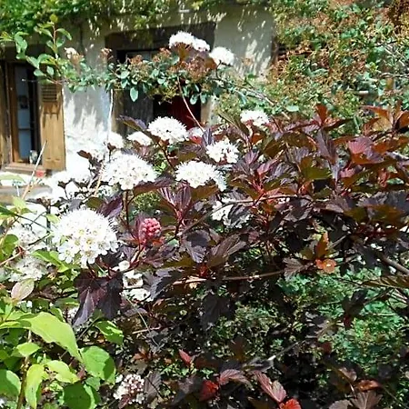 Bed & Breakfast Domaine De Sault 3*