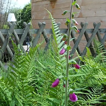Bed & Breakfast Domaine De Sault Dore-l'Eglise