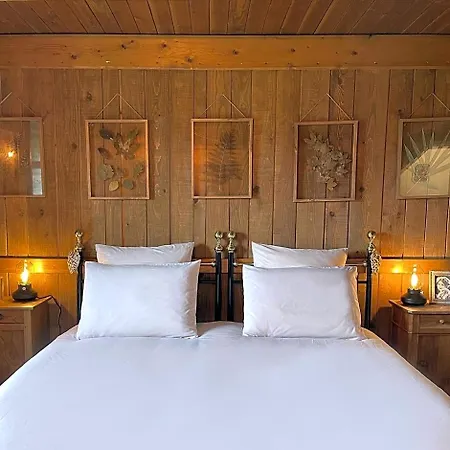 Domaine De Sault Bed & Breakfast Dore-l'Eglise